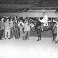 Night at the Races, Bay Meadows Race Track, San Mateo, California on Friday, June 14, 1968.

The Geneva-Excelsior Lions Club Purse won by Riot Maker, 3rd Race.

L to R: Lion Patrick Martin, President-Elect, Lion Ron Faina, President, and Lion Joseph A. Farrah, who was Chairman of the event - Denny McCarley; Danny Mitchell; next man unidentified; boys Vincent and Vernon Strauss, sons of the owner and trainer; Mrs. Robert Strauss; Owner-Trainer Robert Strauss; Jockey William Strauss; Willie Nethers.