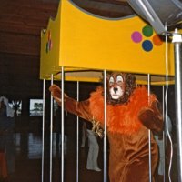 May 28-June 1, 1980 - District 4-C4 District Convention, El Rancho Tropicana, Santa Rose - Tail Twister Skit - Lion in the cage, ready for the skit.