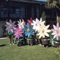 5/6/89 - District 4-C4 Convention, El Rancho Tropicana, Santa Rosa - Costume Parade - L to R: Charlie Bottarini (walking away, standing: Art Holl, Sam San Filippo, Dick Johnson, obscured, Margot Clews, Irene Tonelli, and Donna Francesconi; kneeling: Estelle Bottarini, Diane Johnson, and Frank & Pat Ferrera.