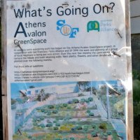 11-5-12 - Athens / Avalon Greenspace in cooperation with SF Park Alliance - Sign showing furure plans and contact info on the greenspace.