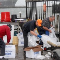 3-5-16 - Mariposa Hunters Point Yacht Club, San Francisco - 31st Annual Crab Feed - Unpacking the crab, dealing with the ice, and recycling the boxes. L to R: Ward Donnelly, Bob Fenech, and George Salet.