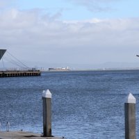 2-18-17 - 32nd Annual Crab Feed, Mariposa Hunters Point Yacht Club, San Francisco - View of San Francisco Bay from the back deck of the club.