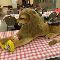 2-25-23 - 36th Annual Crab Feed - St. Philip the Apostle Church, San Francisco - Our Lion mascot, guarding the raffle tickets, with Bob Lawhon’s hat warming his butt.