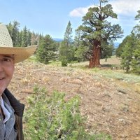 8-29-25 - near Pinecrest, California - Stephen Martin with supposedly the largest and oldest Western Juniper in the world in the background.